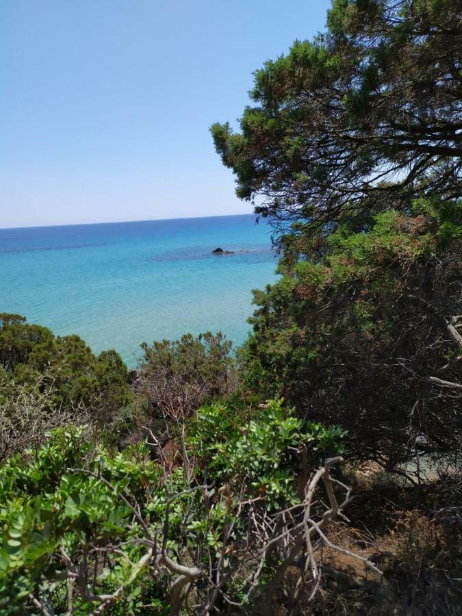 Albeldi' Ξενοδοχείο Domus De Maria Εξωτερικό φωτογραφία